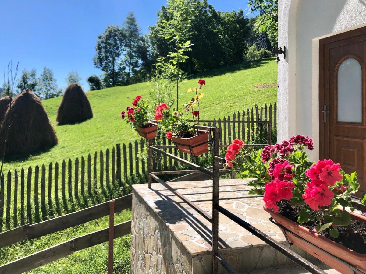 Villa Conacul Secaria Esterno foto